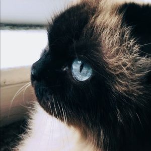 Meet your Posher, Jenn